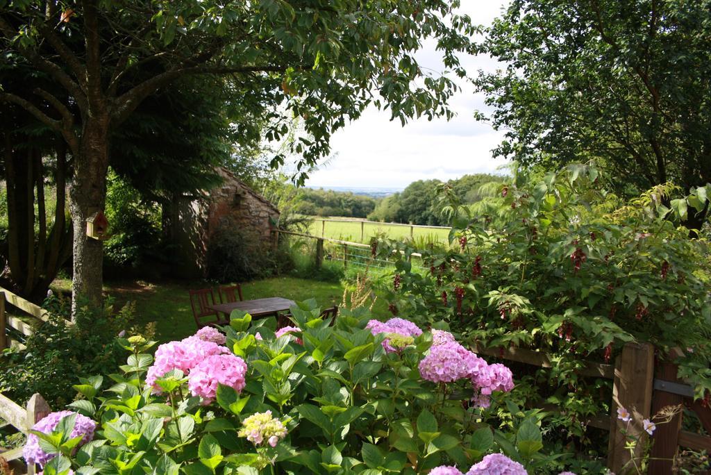 Wallace Lane Farm Westward Εξωτερικό φωτογραφία