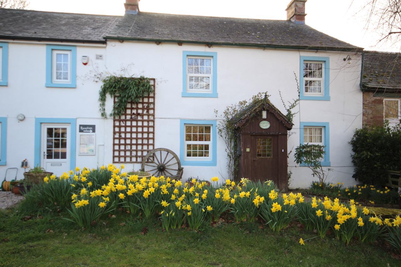 Wallace Lane Farm Westward Εξωτερικό φωτογραφία
